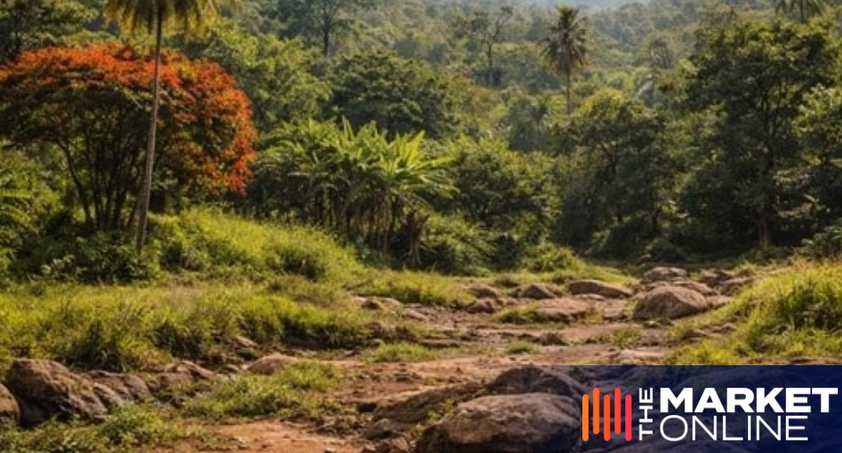 Dalaroo Metals completes high priority soil sampling at Bondoukou: drilling looming